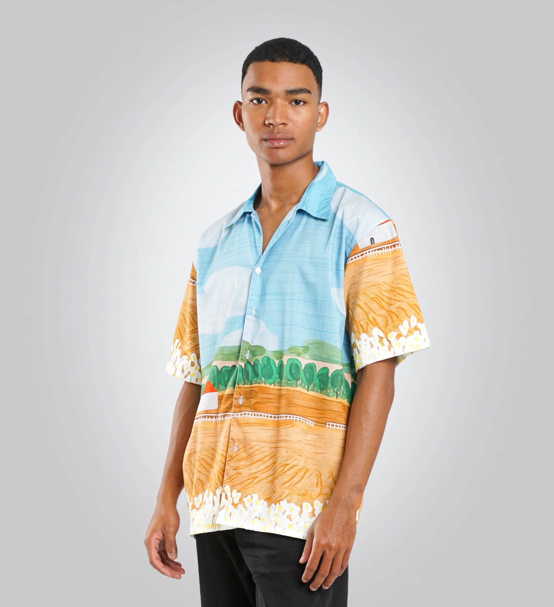 Printed Half Sleeves Shirt